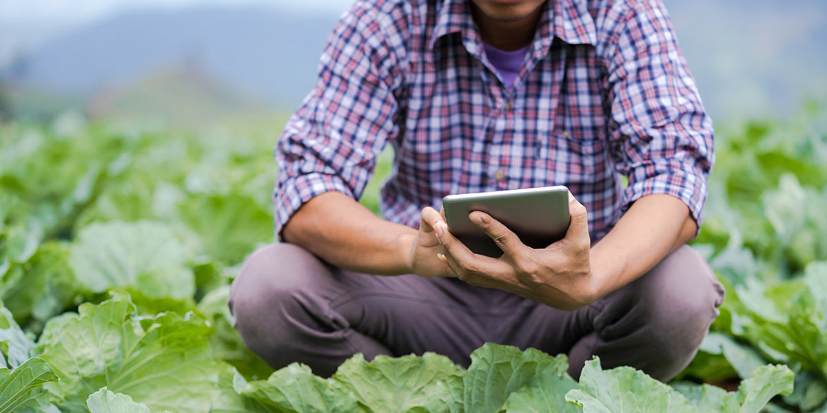 Agroalimentare, la sfida è nella digitalizzazione